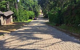 Canto Da Floresta